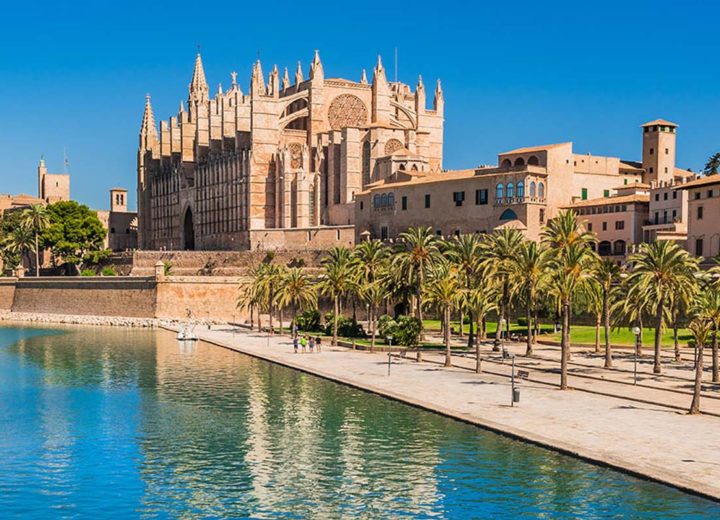 Palma